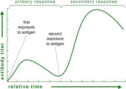primary and secondary response graph